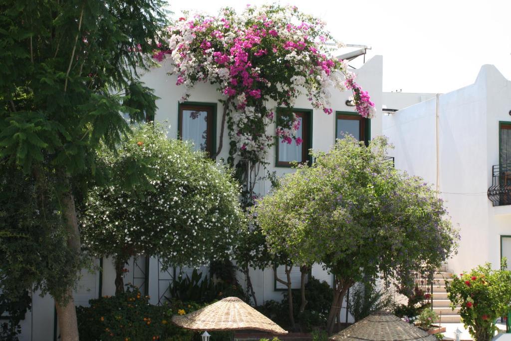 Bronze Hotel Gümbet Exterior foto