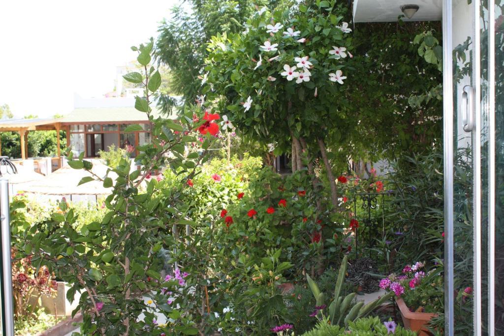 Bronze Hotel Gümbet Exterior foto